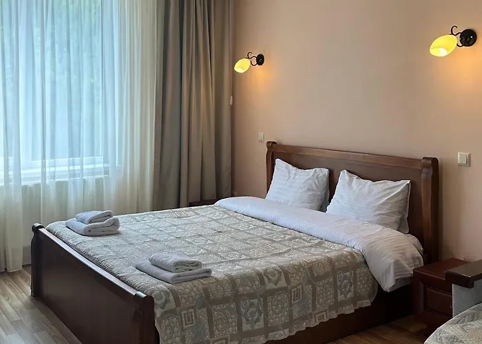 酒店 Panna 索洛钦