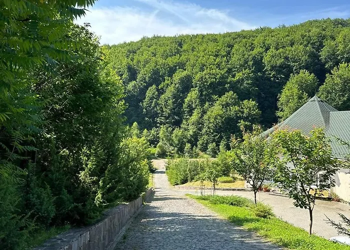Panna 索洛钦