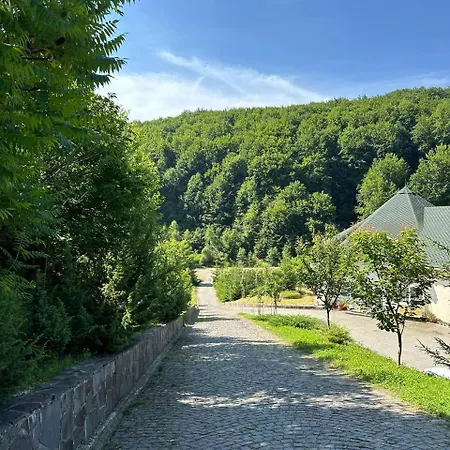 Panna Solochyn